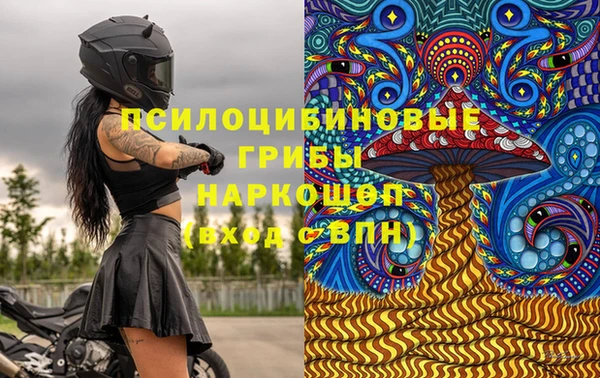 2c-b Лагань