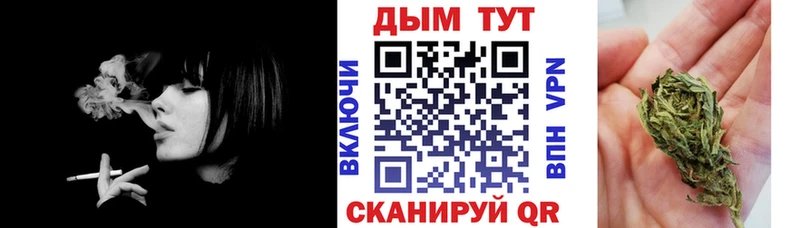 Бошки марихуана MAZAR  Купить  Злынка 